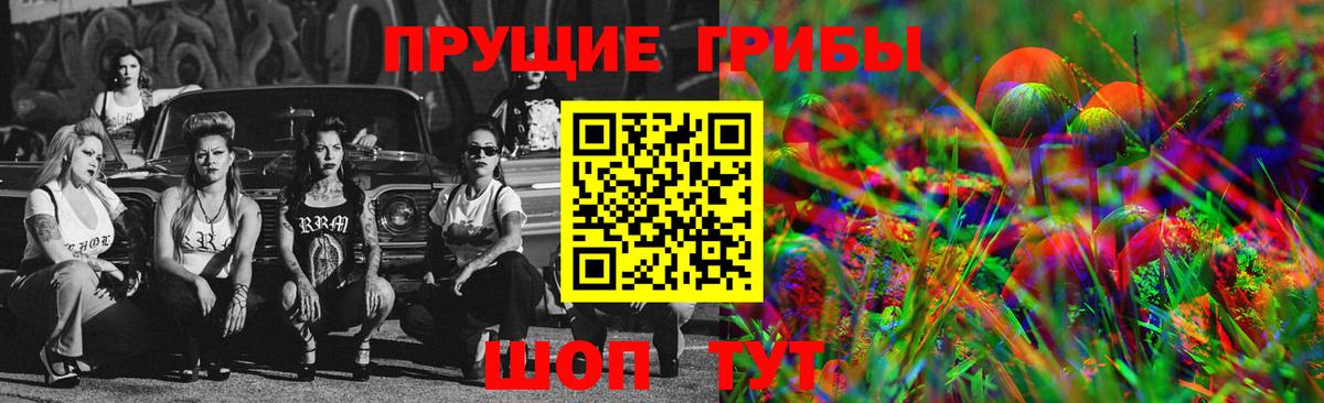 Галлюциногенные грибы Psilocybine cubensis  Вход с VPN  Псков  Галлюциногенные грибы прущие грибы 
